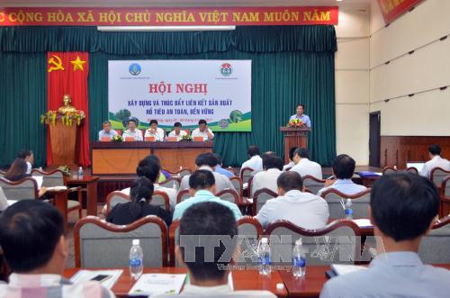 Sẽ cấp mã số vùng trồng hồ tiêu 